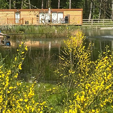 Rowan Boutique Lodge For Couples With A Dog York Eksteriør bilde