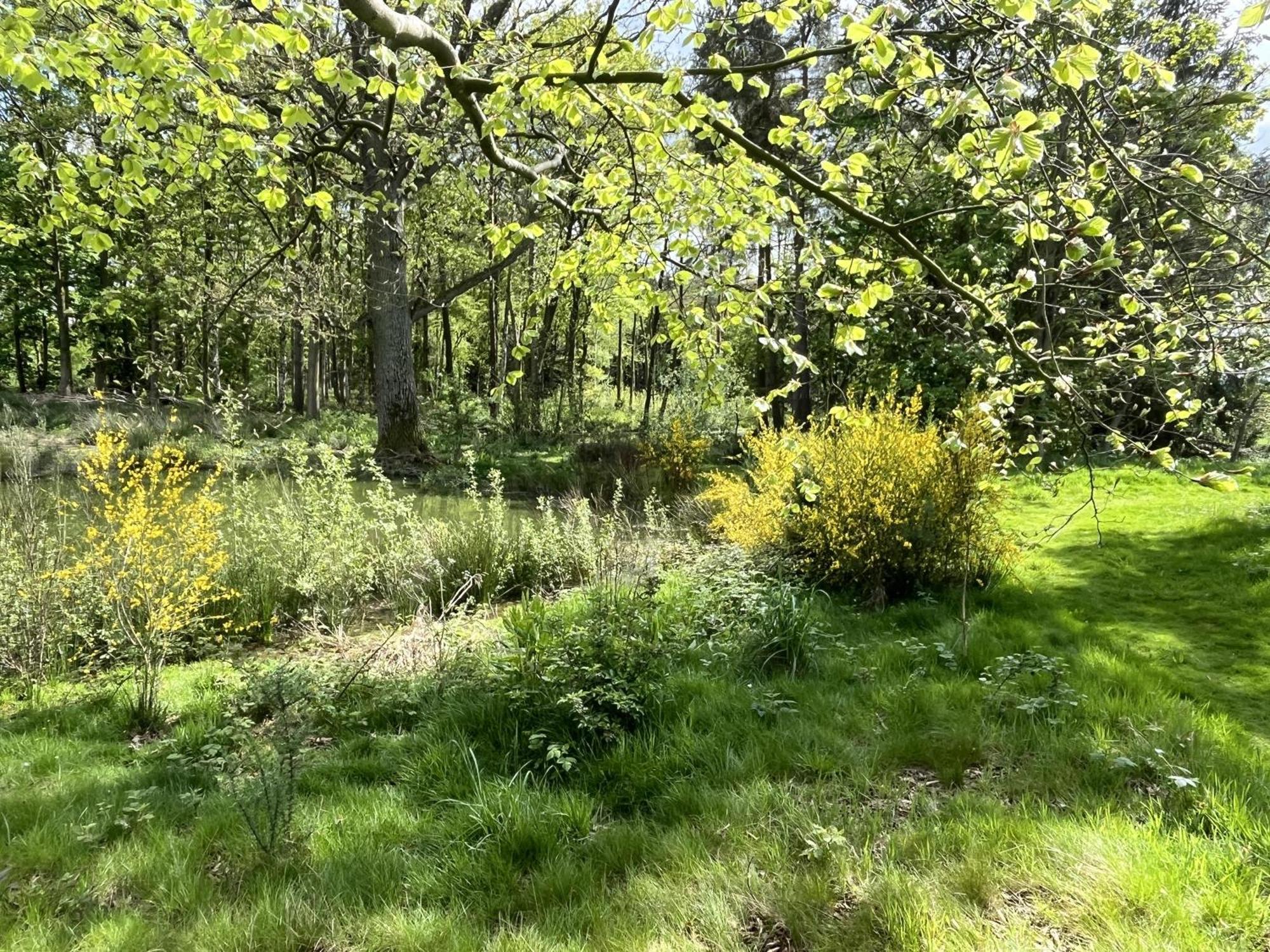 Rowan Boutique Lodge For Couples With A Dog York Eksteriør bilde