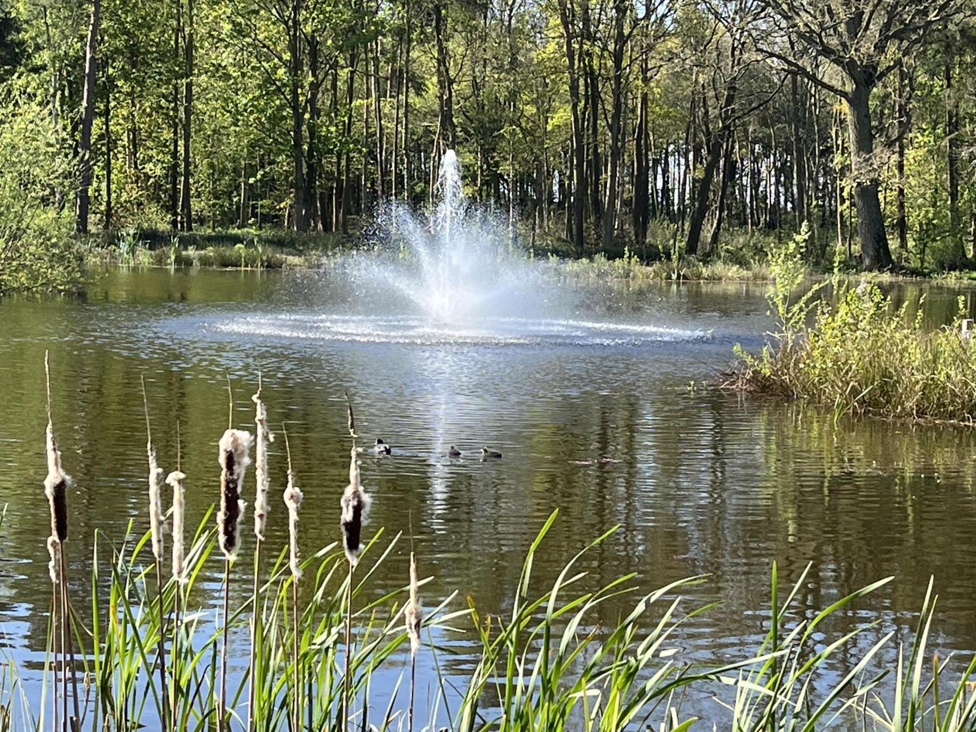 Rowan Boutique Lodge For Couples With A Dog York Eksteriør bilde